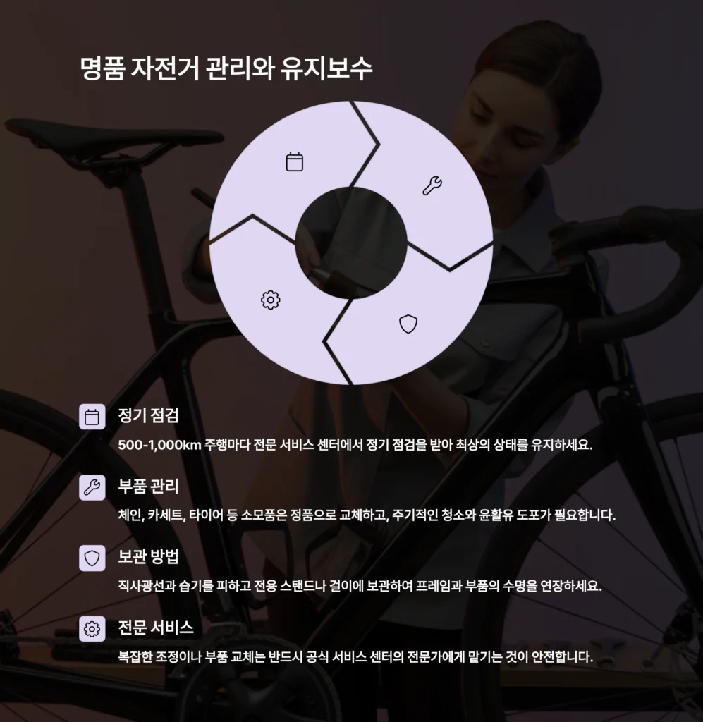a luxury bicycle