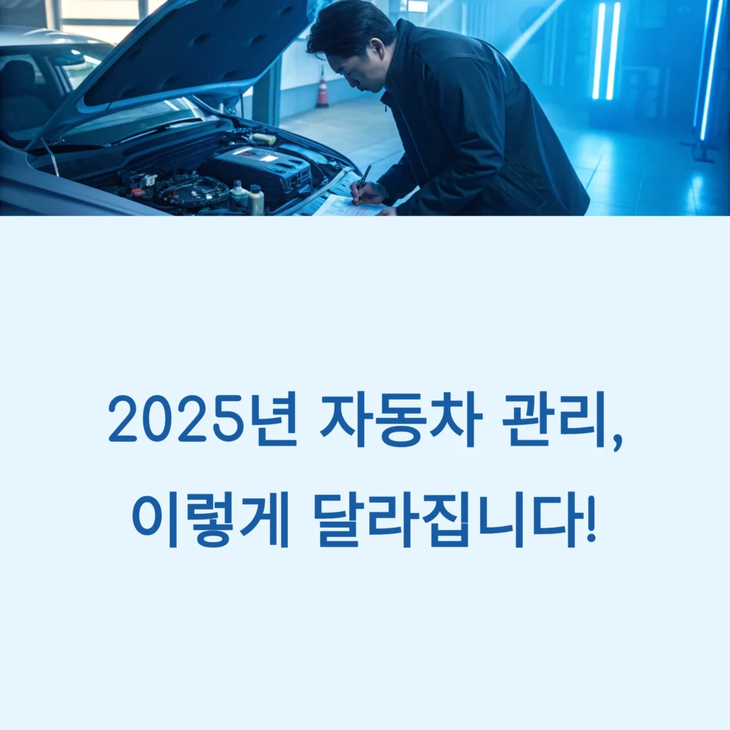 자동차 관리