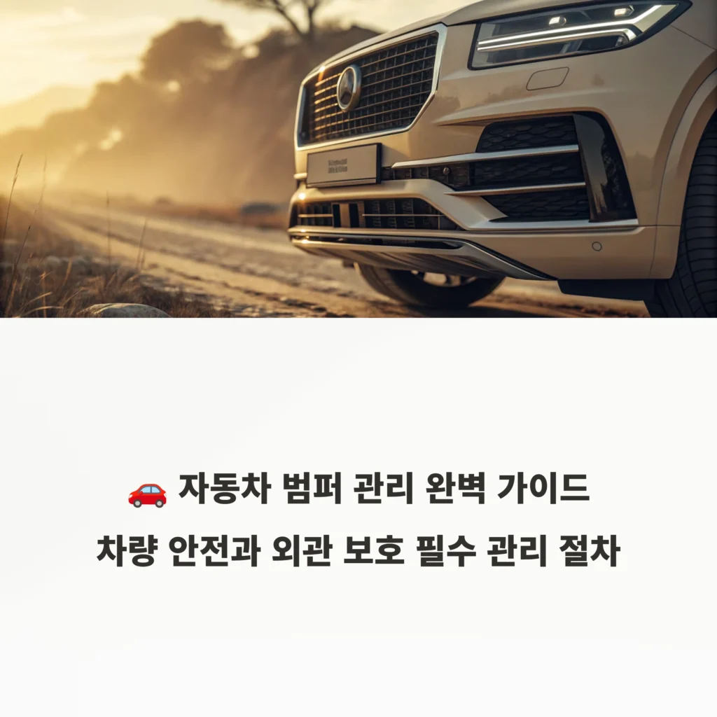 자동차 범퍼 관리