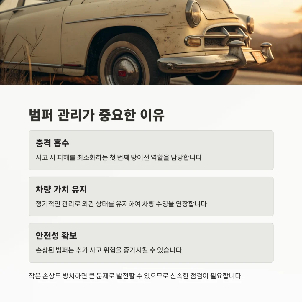 자동차 범퍼 관리